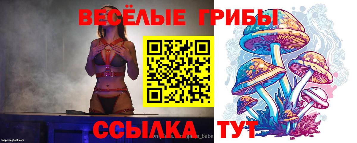 Галлюциногенные грибы Cubensis Заволжье