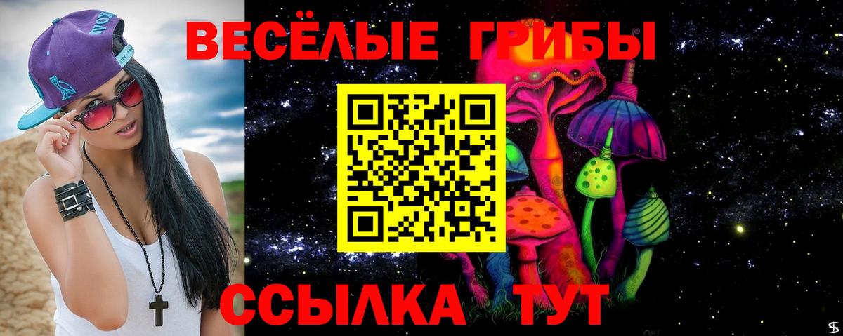 Заволжье  Псилоцибиновые грибы мицелий  Галлюциногенные грибы Cubensis  Вход с VPN 
